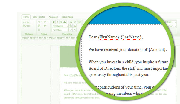 Custom Donation Form